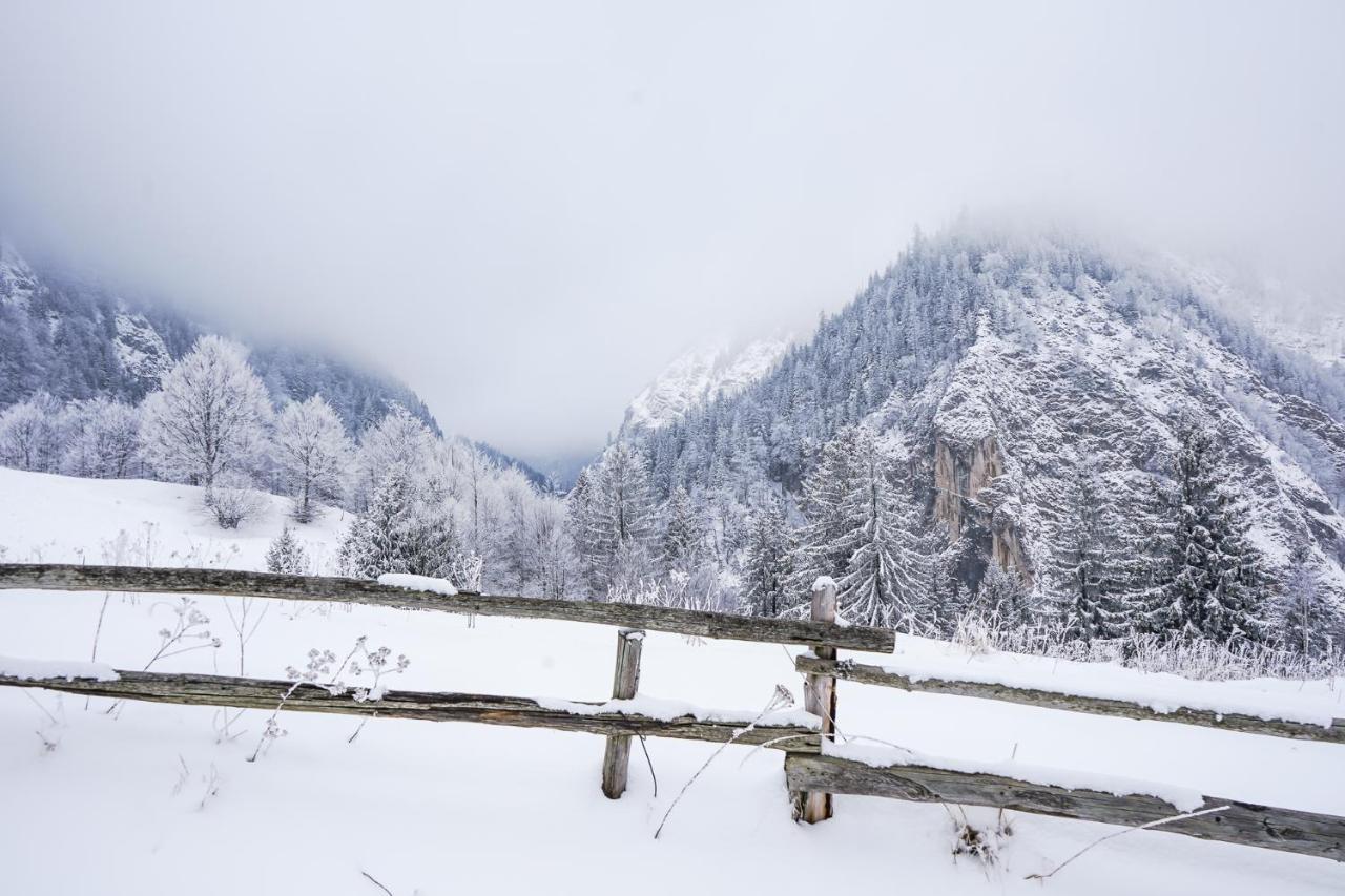 Pensiunea Hodaita Măgura Exteriör bild