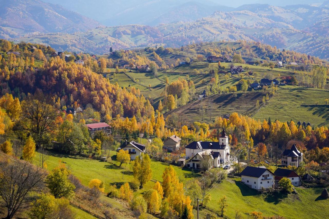 Pensiunea Hodaita Măgura Exteriör bild