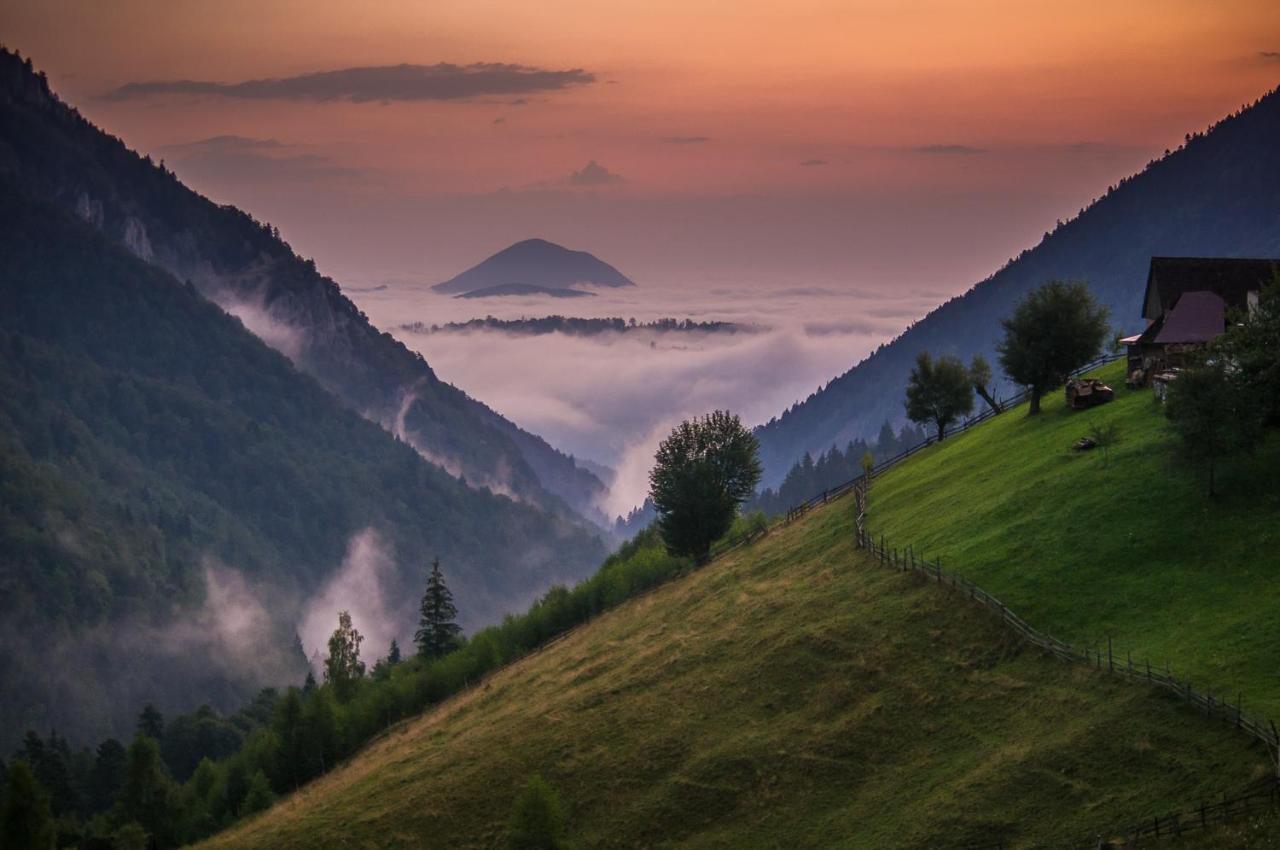 Pensiunea Hodaita Măgura Exteriör bild