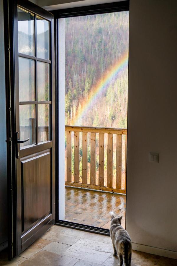 Pensiunea Hodaita Măgura Exteriör bild