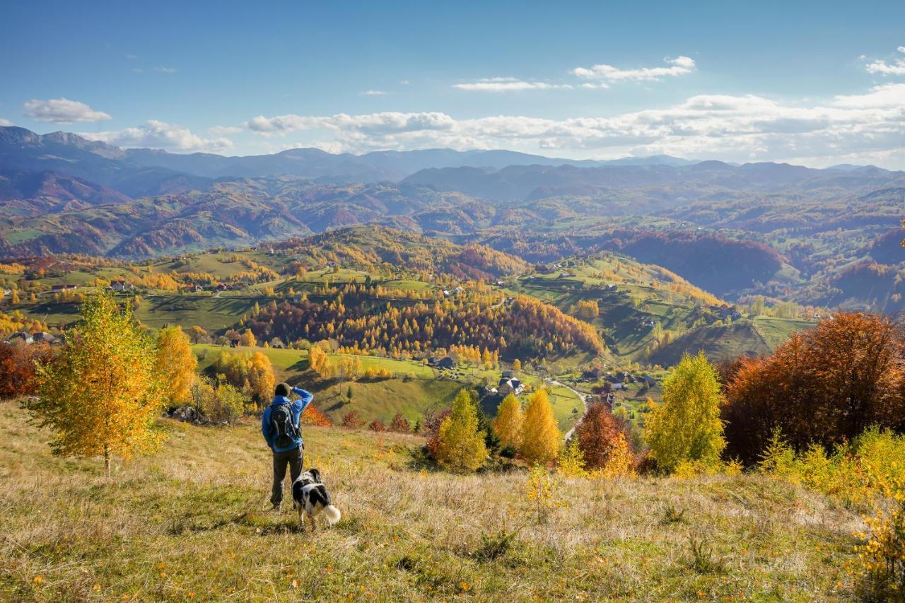 Pensiunea Hodaita Măgura Exteriör bild