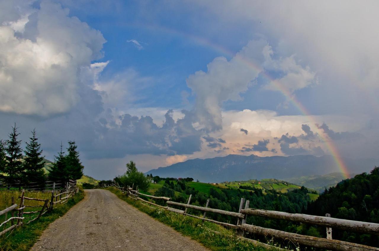 Pensiunea Hodaita Măgura Exteriör bild