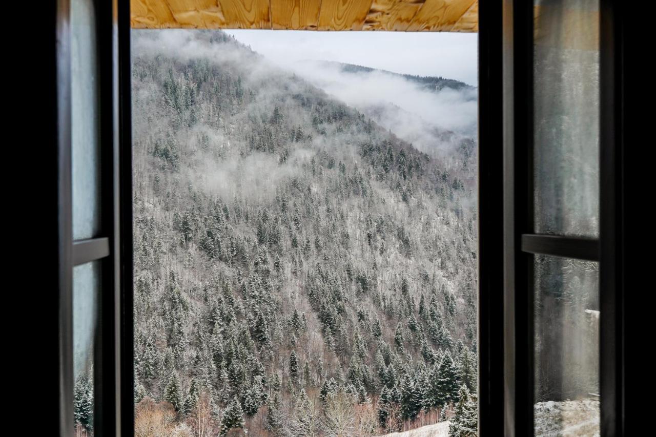 Pensiunea Hodaita Măgura Exteriör bild