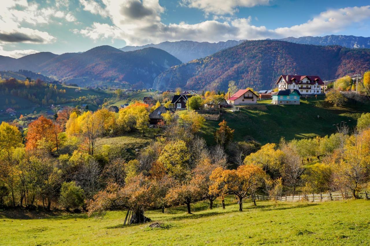 Pensiunea Hodaita Măgura Exteriör bild