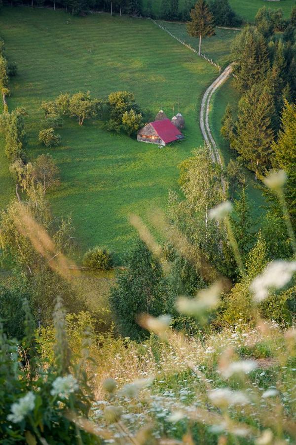 Pensiunea Hodaita Măgura Exteriör bild