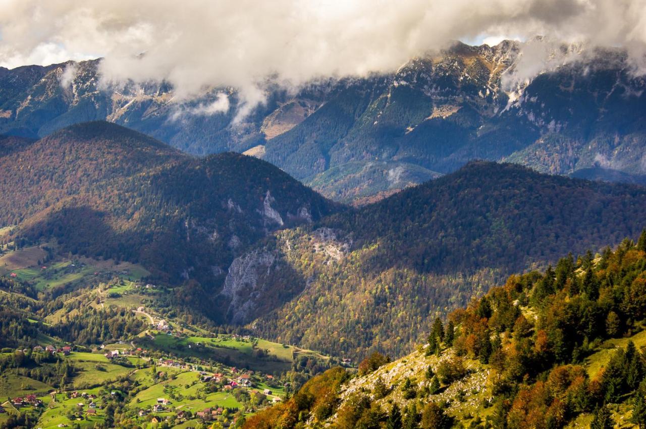 Pensiunea Hodaita Măgura Exteriör bild