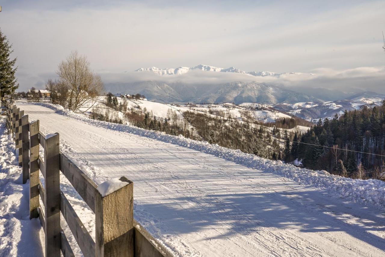 Pensiunea Hodaita Măgura Exteriör bild