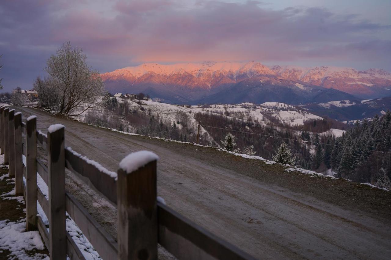 Pensiunea Hodaita Măgura Exteriör bild