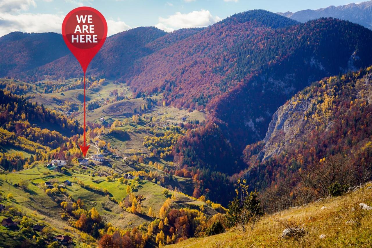 Pensiunea Hodaita Măgura Exteriör bild